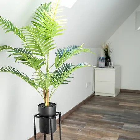Xxl Superior 1 - 1 Bis 10 Personen Apartment *