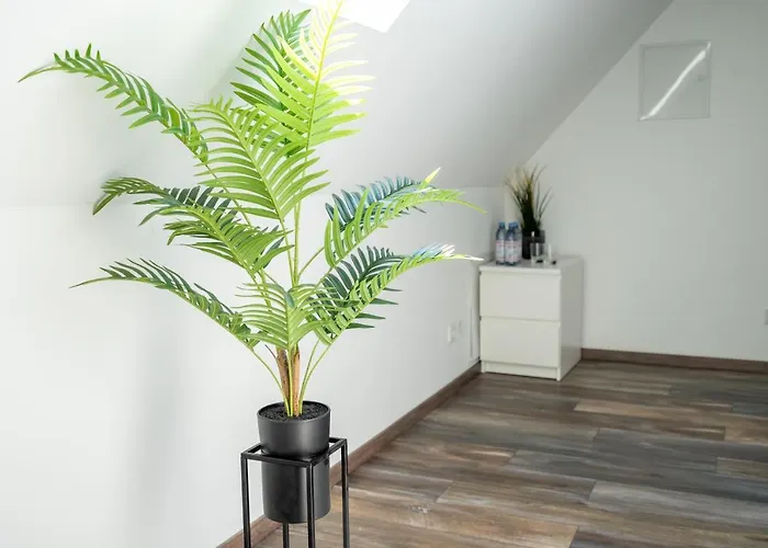 Xxl Superior 1 - 1 Bis 10 Personen Lejlighed *